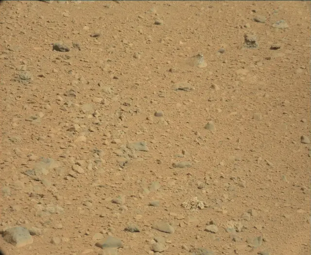 Sol 44: Mast Camera (Mastcam)