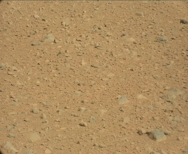 Sol 44: Mast Camera (Mastcam)