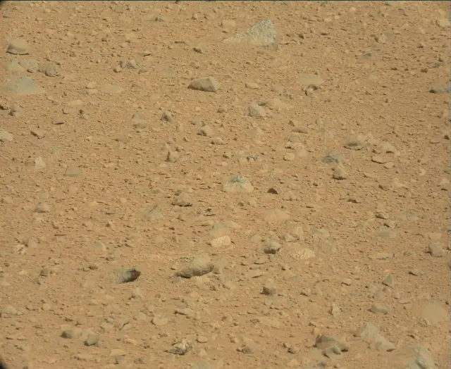 Sol 44: Mast Camera (Mastcam)