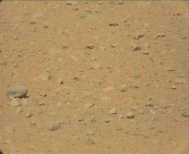 Sol 44: Mast Camera (Mastcam)