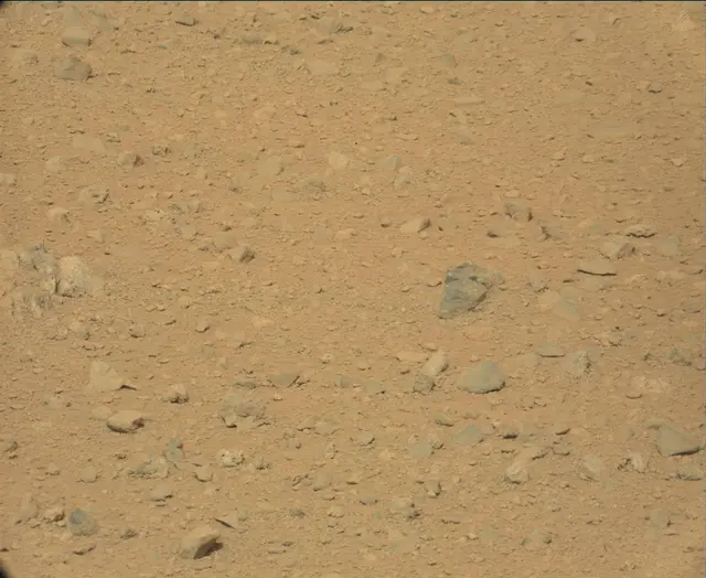 Sol 44: Mast Camera (Mastcam)