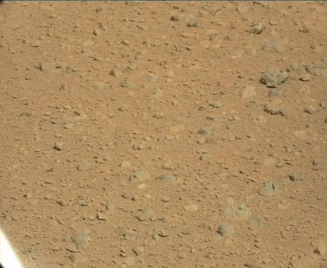 Sol 44: Mast Camera (Mastcam)