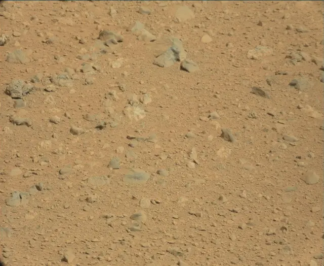 Sol 44: Mast Camera (Mastcam)