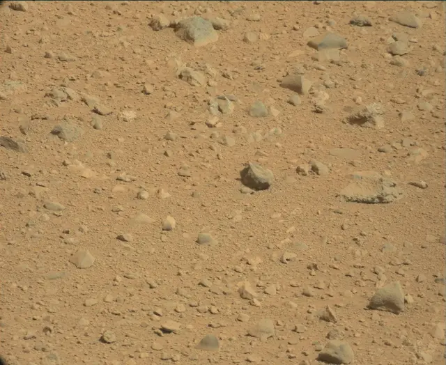 Sol 44: Mast Camera (Mastcam)