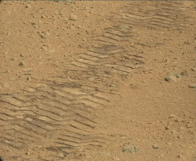 Sol 44: Mast Camera (Mastcam)