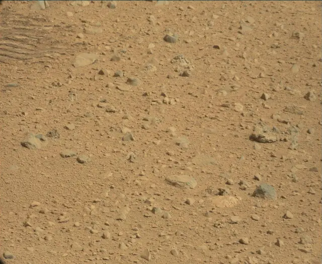 Sol 44: Mast Camera (Mastcam)