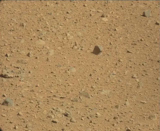Sol 44: Mast Camera (Mastcam)