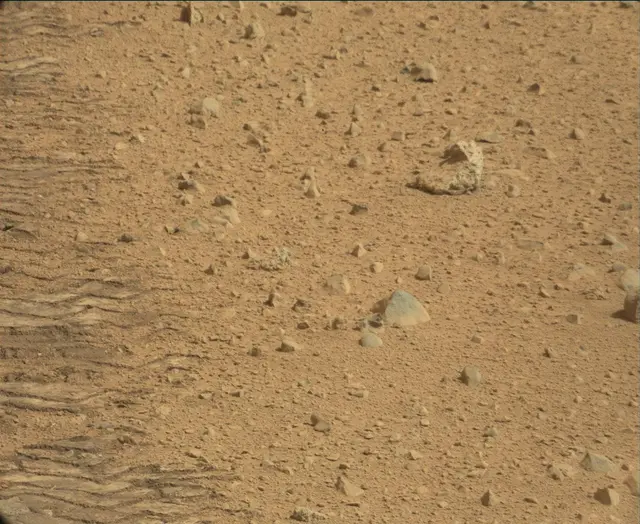 Sol 44: Mast Camera (Mastcam)