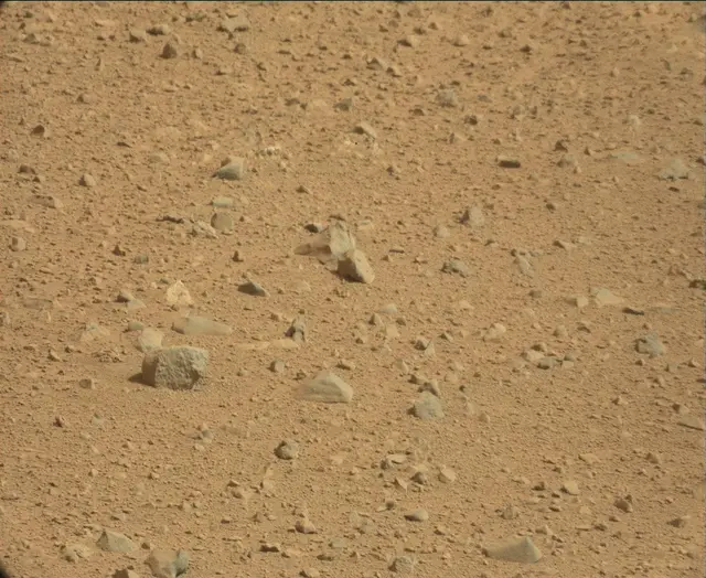 Sol 44: Mast Camera (Mastcam)