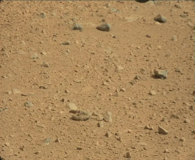 Sol 44: Mast Camera (Mastcam)