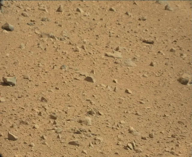 Sol 44: Mast Camera (Mastcam)