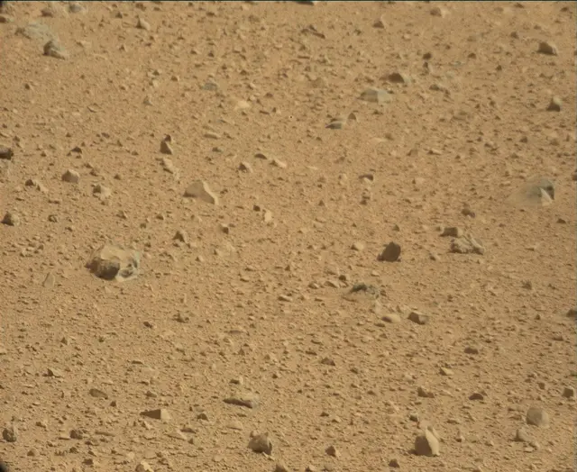 Sol 44: Mast Camera (Mastcam)