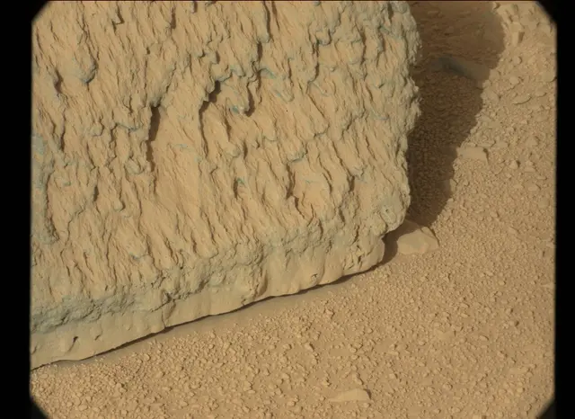 Sol 44: Mast Camera (Mastcam)
