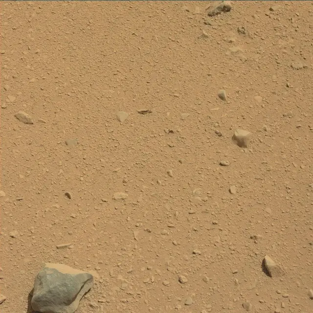 Sol 45: Mast Camera (Mastcam)