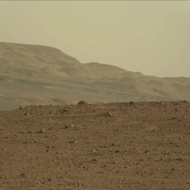 Sol 45: Mast Camera (Mastcam)