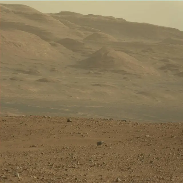 Sol 45: Mast Camera (Mastcam)
