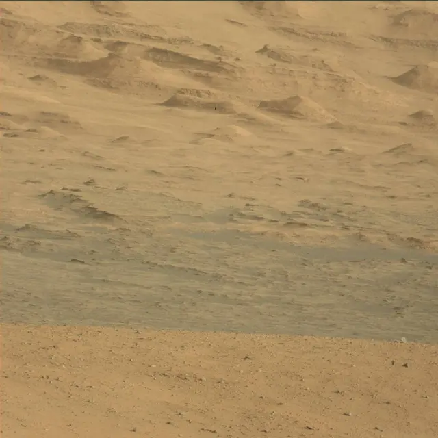 Sol 45: Mast Camera (Mastcam)