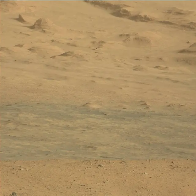 Sol 45: Mast Camera (Mastcam)