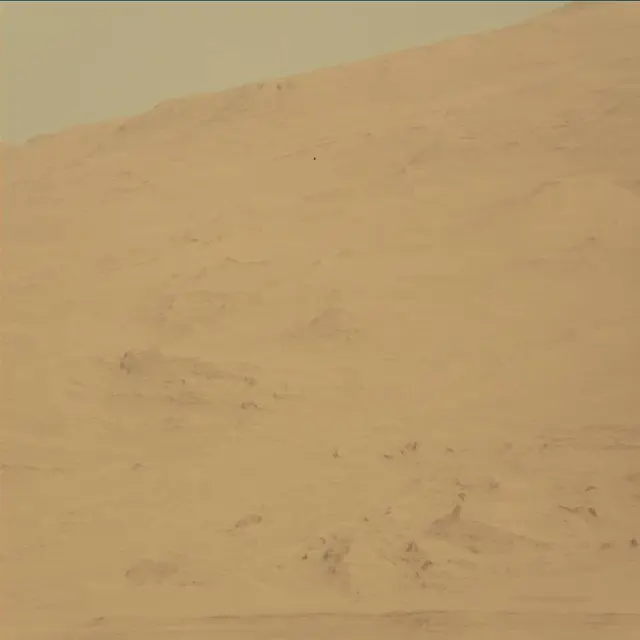 Sol 45: Mast Camera (Mastcam)