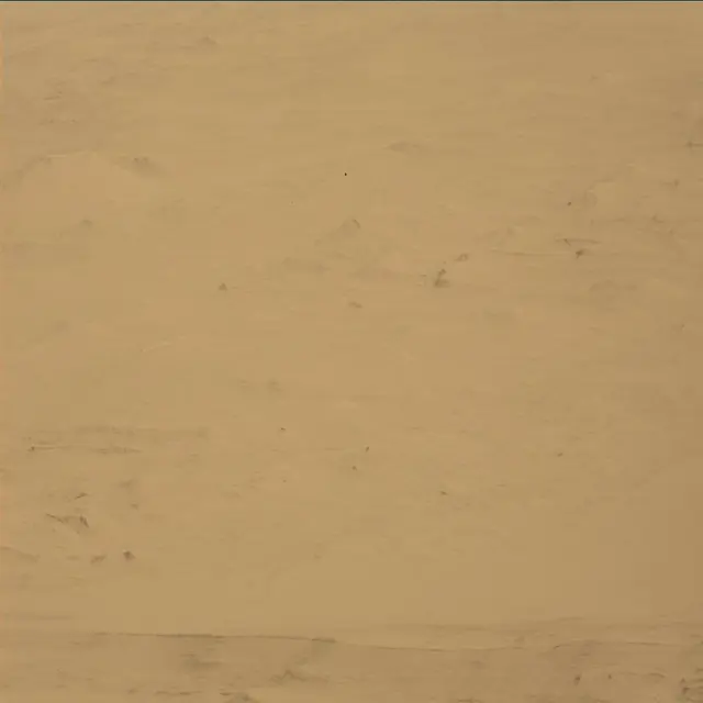 Sol 45: Mast Camera (Mastcam)