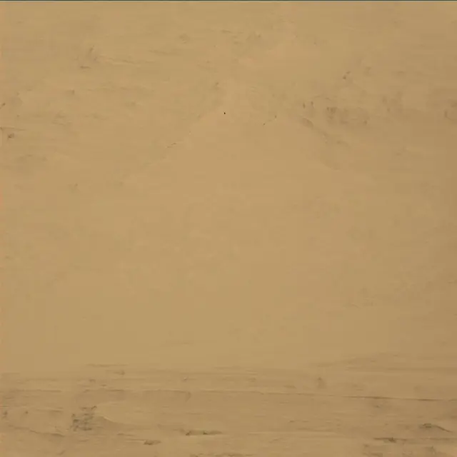 Sol 45: Mast Camera (Mastcam)