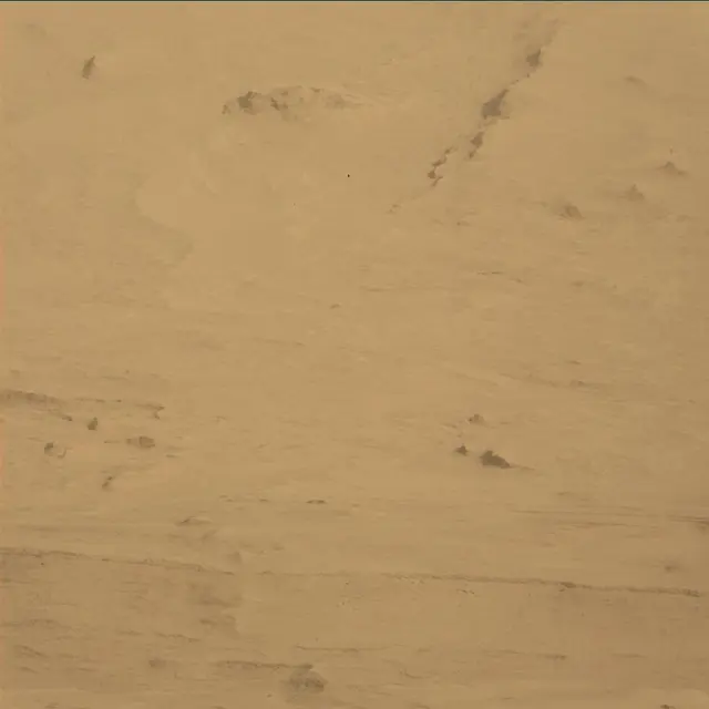 Sol 45: Mast Camera (Mastcam)