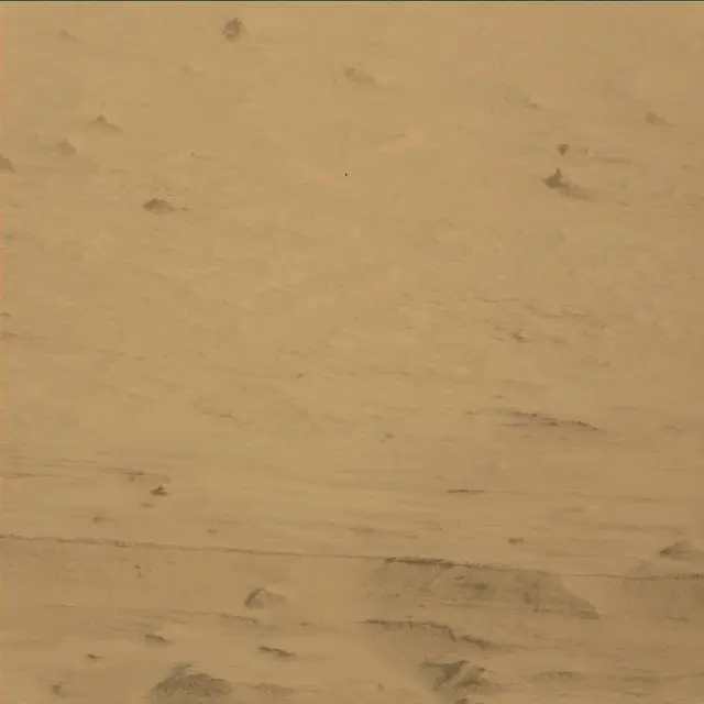 Sol 45: Mast Camera (Mastcam)