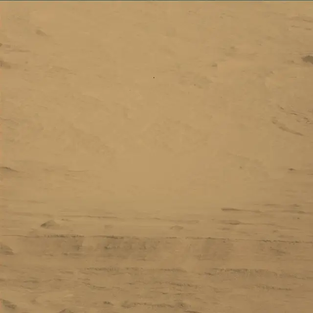 Sol 45: Mast Camera (Mastcam)