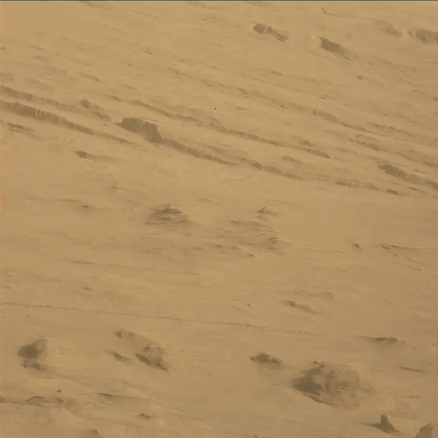 Sol 45: Mast Camera (Mastcam)
