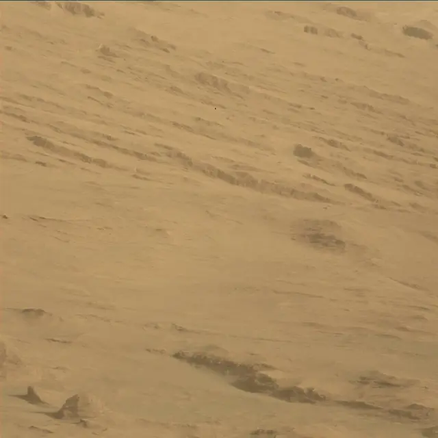 Sol 45: Mast Camera (Mastcam)