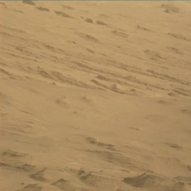 Sol 45: Mast Camera (Mastcam)