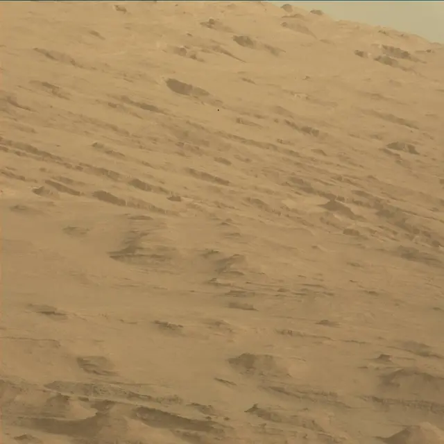 Sol 45: Mast Camera (Mastcam)
