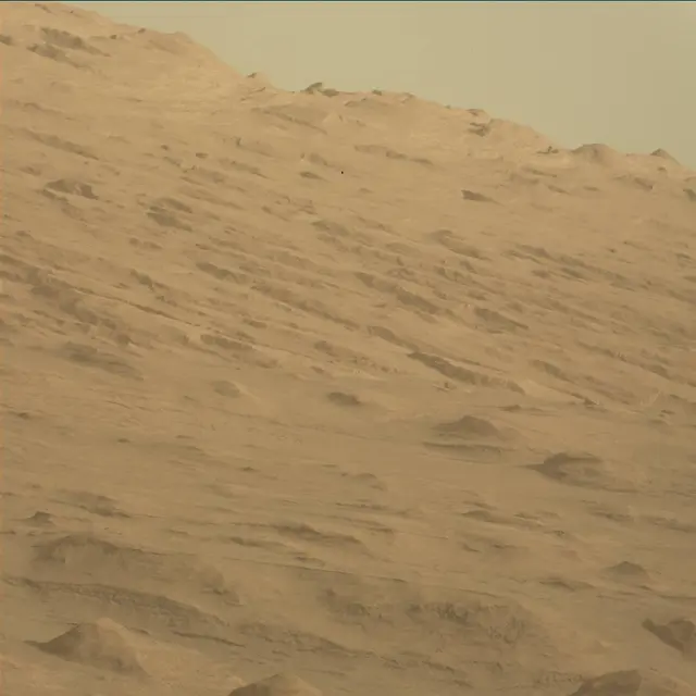 Sol 45: Mast Camera (Mastcam)