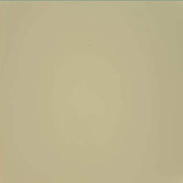 Sol 45: Mast Camera (Mastcam)