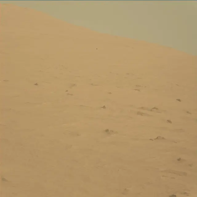 Sol 45: Mast Camera (Mastcam)