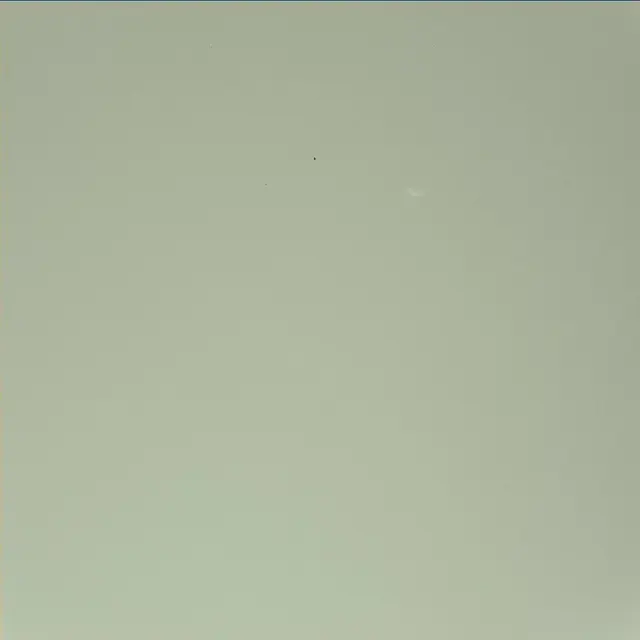 Sol 45: Mast Camera (Mastcam)