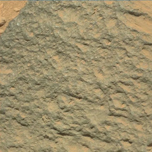 Sol 46: Mast Camera (Mastcam)