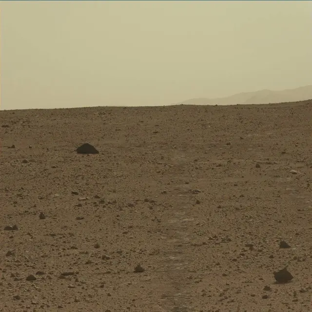 Sol 48: Mast Camera (Mastcam)