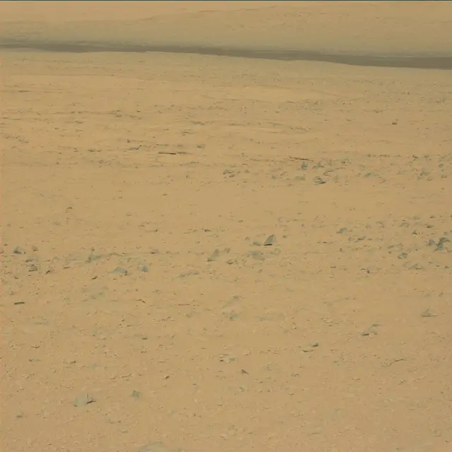 Sol 48: Mast Camera (Mastcam)