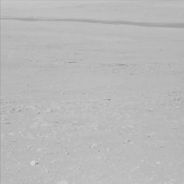 Sol 48: Mast Camera (Mastcam)