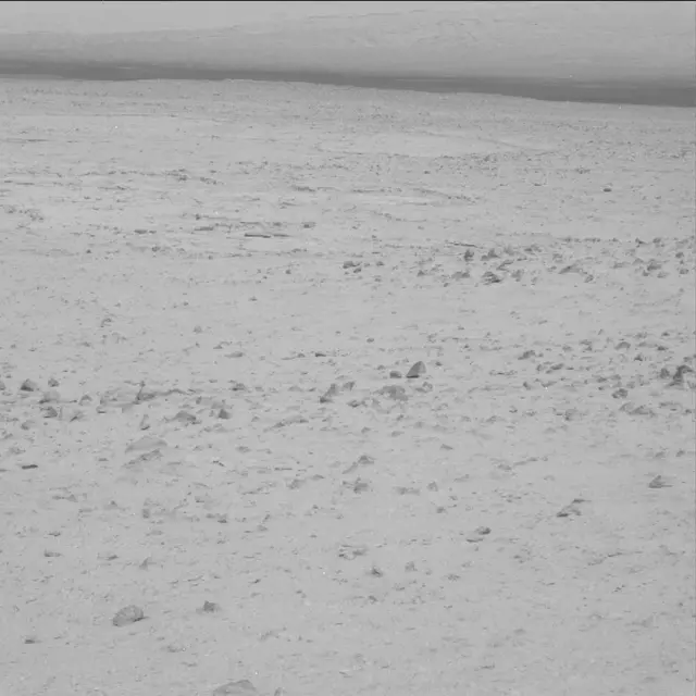 Sol 48: Mast Camera (Mastcam)