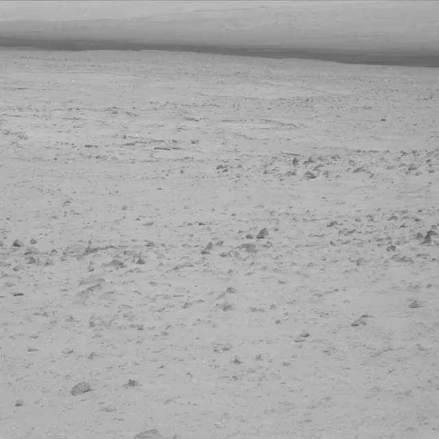 Sol 48: Mast Camera (Mastcam)