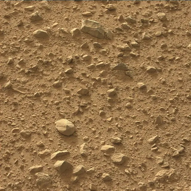 Sol 48: Mast Camera (Mastcam)
