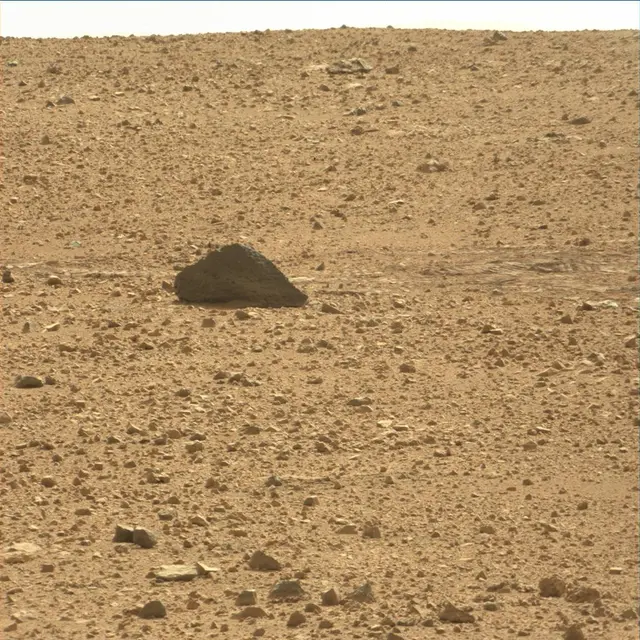 Sol 48: Mast Camera (Mastcam)