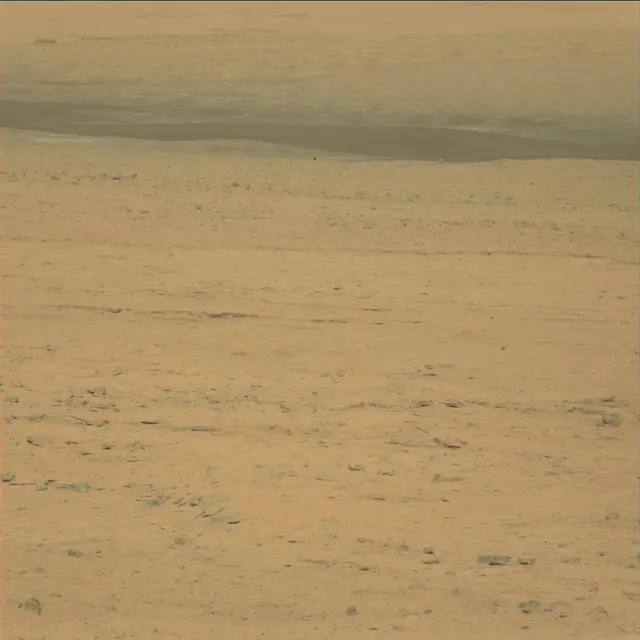 Sol 48: Mast Camera (Mastcam)