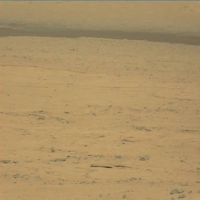 Sol 48: Mast Camera (Mastcam)