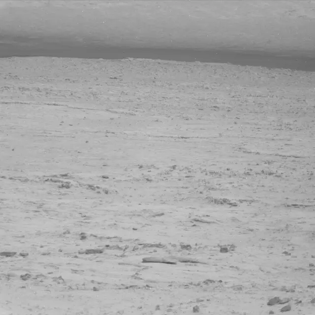 Sol 48: Mast Camera (Mastcam)