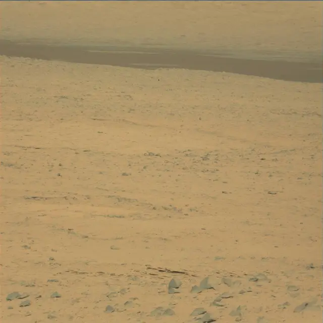 Sol 48: Mast Camera (Mastcam)