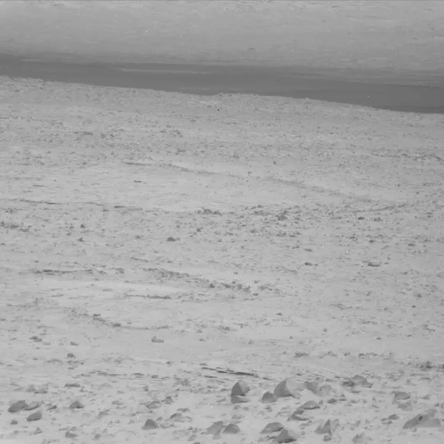 Sol 48: Mast Camera (Mastcam)