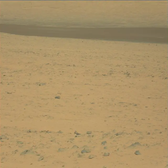 Sol 48: Mast Camera (Mastcam)